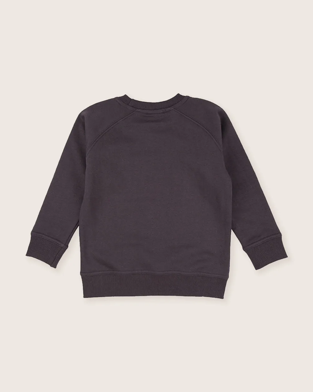 Charcoal Grey Bear Face Print Sweatshirt