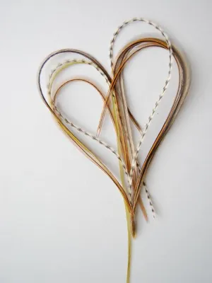 Hair Feathers | Natural Hair
