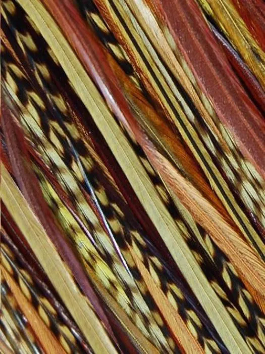 Hair Feathers | Natural Hair