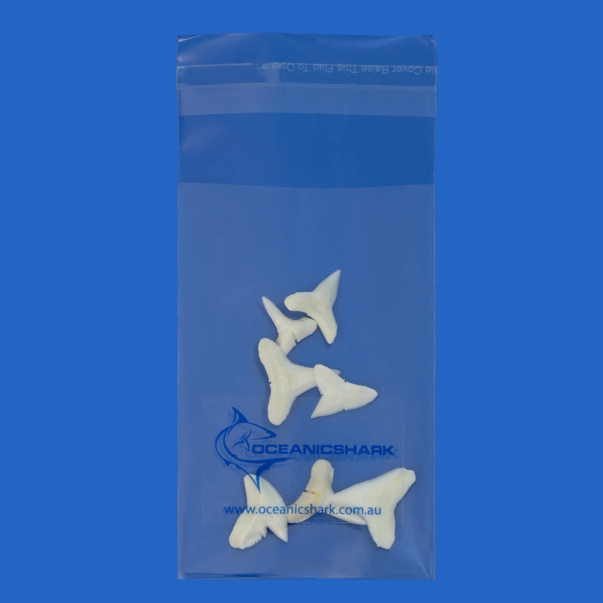 Shark Teeth Collection LT3
