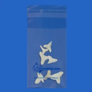 Shark Teeth Collection LT3